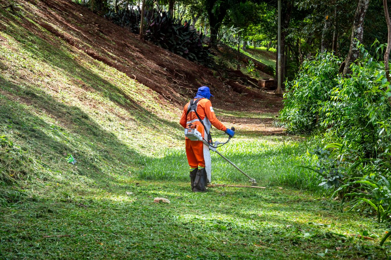 Landscaper at work